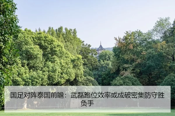 国足对阵泰国前瞻：武磊跑位效率或成破密集防守胜负手