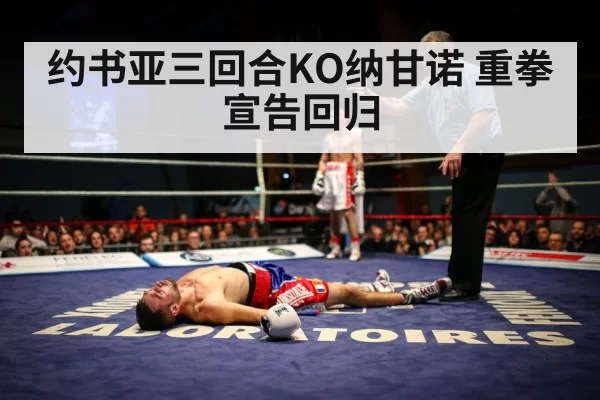 约书亚三回合KO纳甘诺 重拳宣告回归