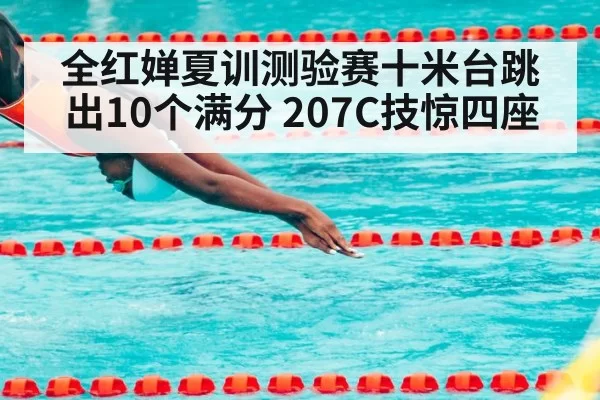 全红婵夏训测验赛十米台跳出10个满分 207C技惊四座